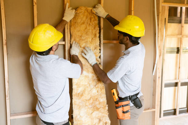 Insulation Air Sealing in Princeville, IL